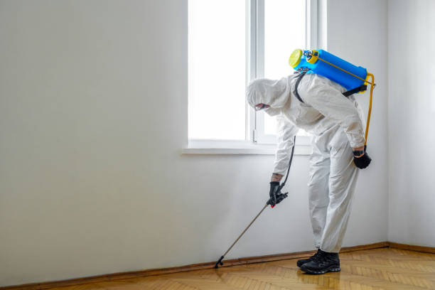 Pest Control for Restaurants in Mauriceville, TX