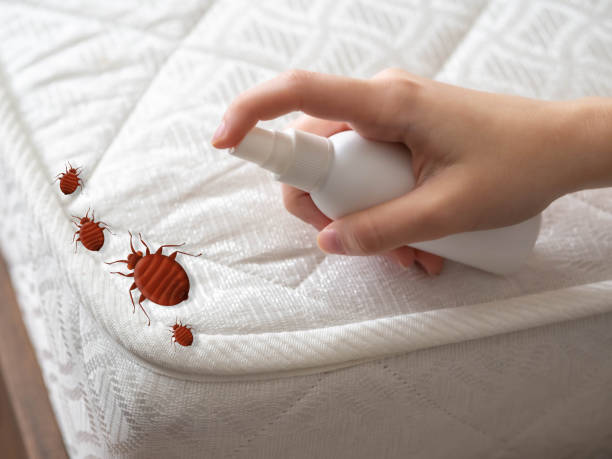 Mauriceville, TX Pest Control Company