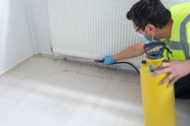 Best Affordable Pest Control Services  in Mauriceville, TX